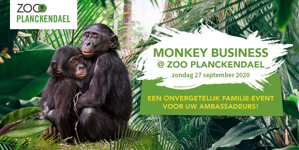 Monkey Business 2020
